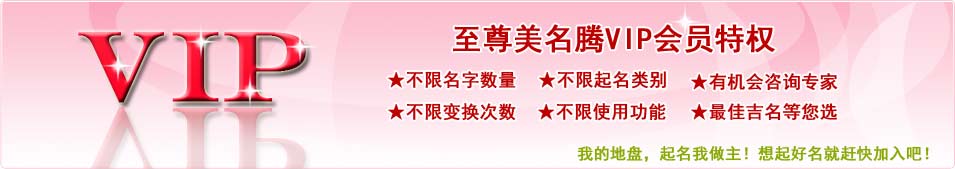 vip什么意思