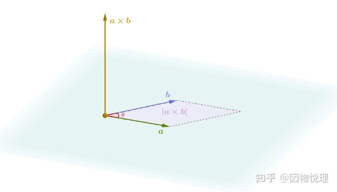 什么是向量