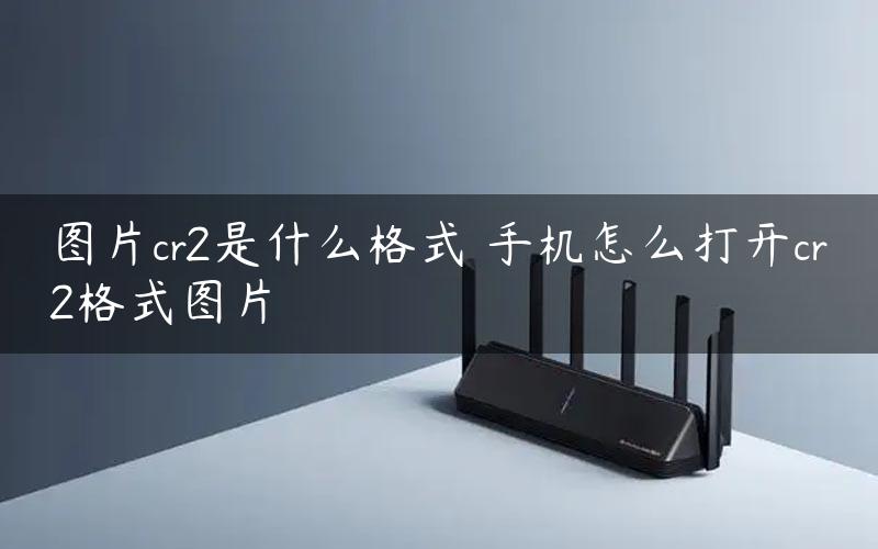 cr2是什么格式