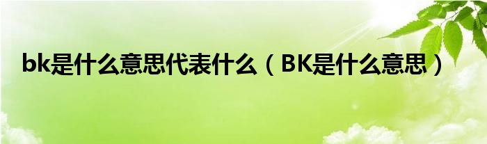 sbk是什么意思