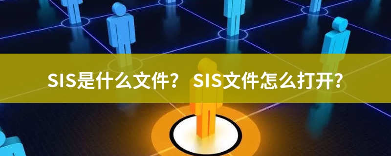 sis什么意思