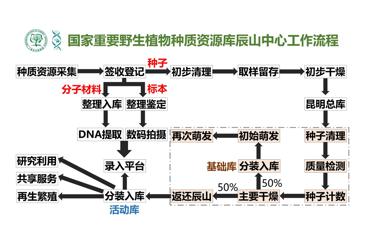 种子搜索神器