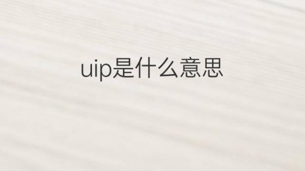uip是什么意思
