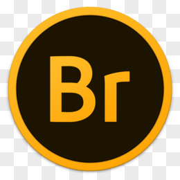 br什么意思