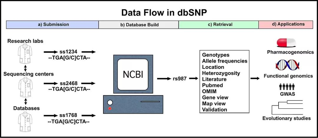 dbsnp