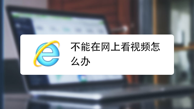 网页视频无法播放