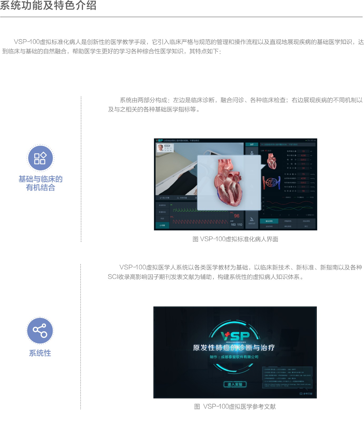 vsp是什么意思