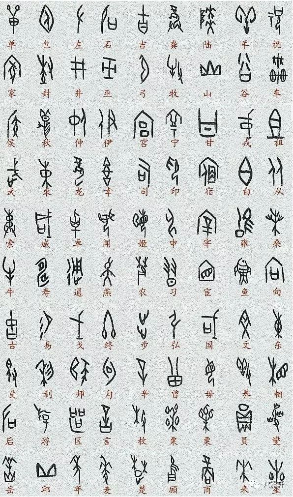 中是什么结构