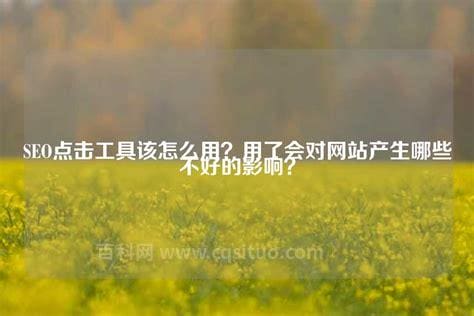 seo排名点击器