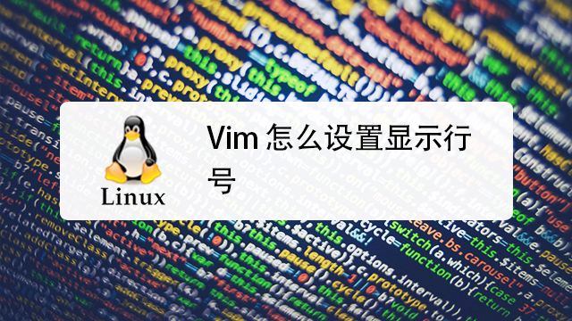 vim显示行号