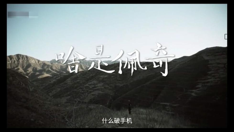 ntr啥意思