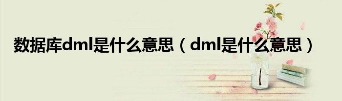dML是什么意思