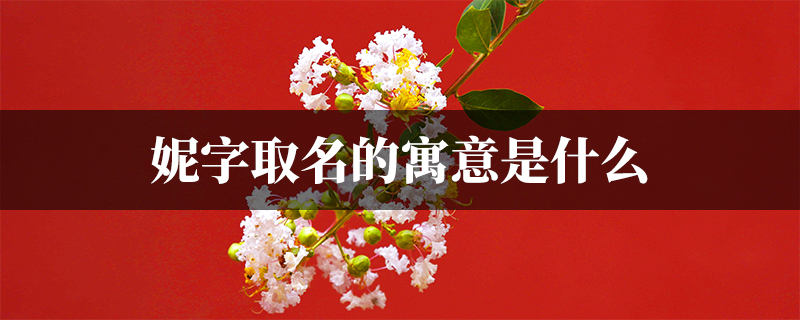 妮怎么读