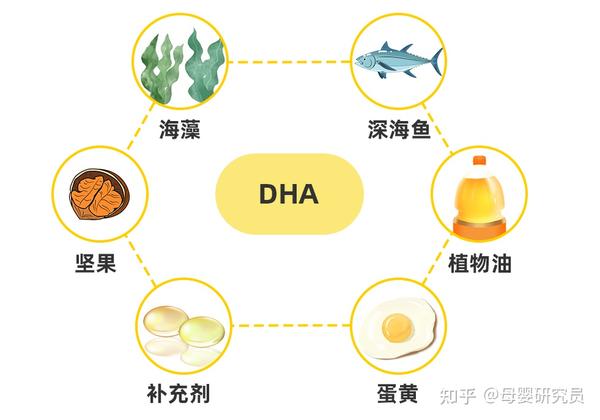 hda是什么