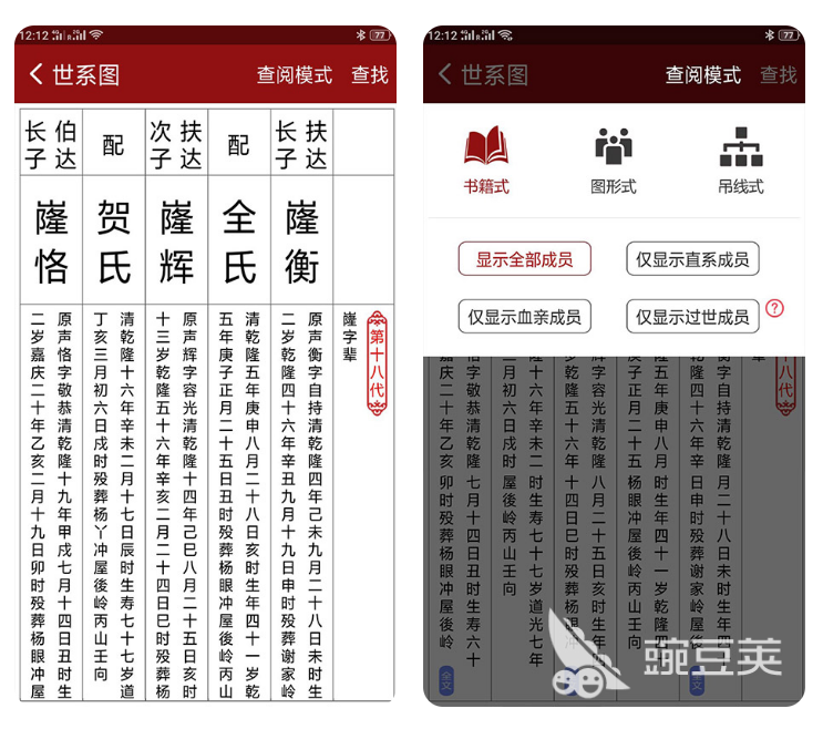 族谱制作软件