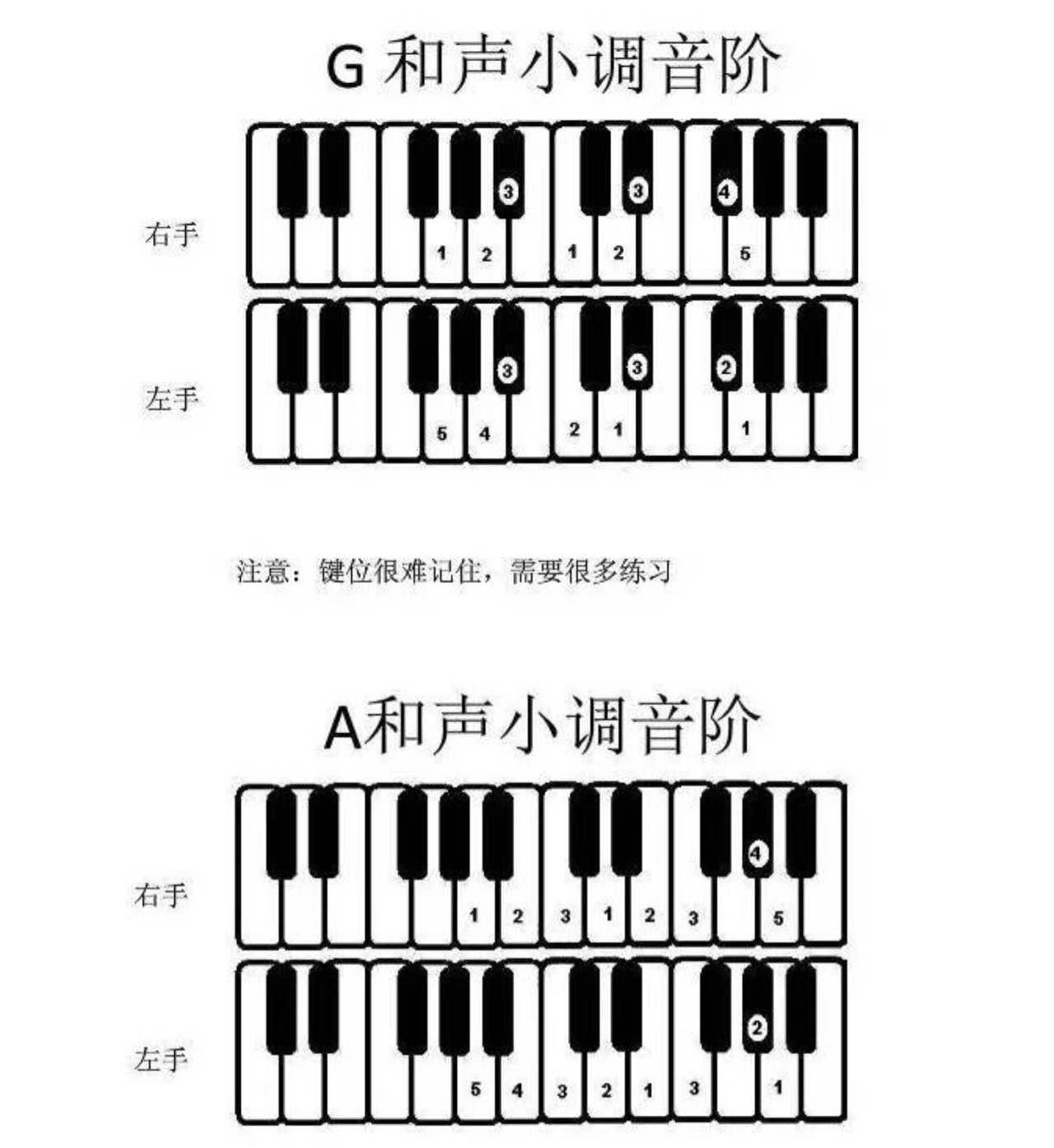 d调