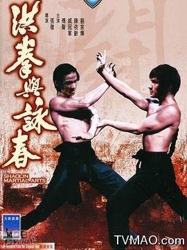 洪拳与咏春