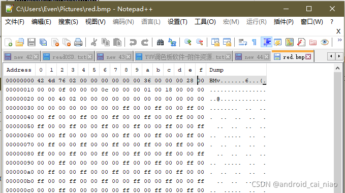 二进制文件