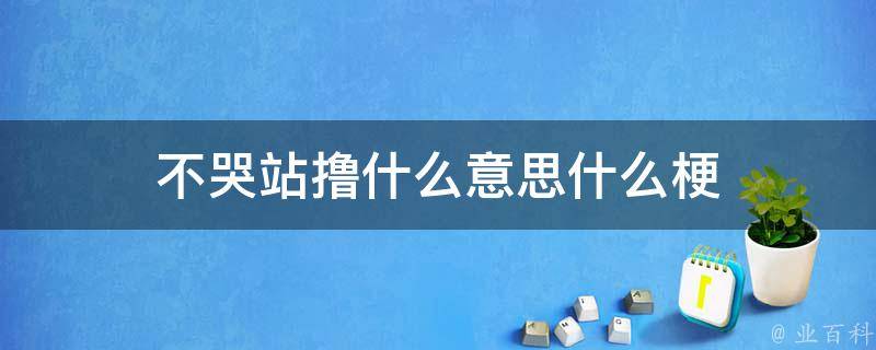 撸串是什么意思