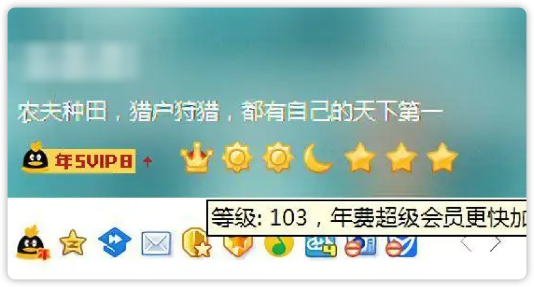qq等级最高