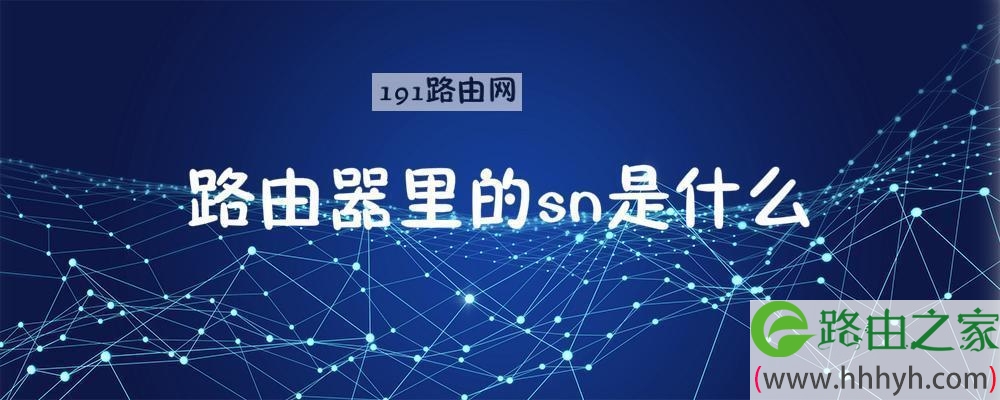 sln是什么意思