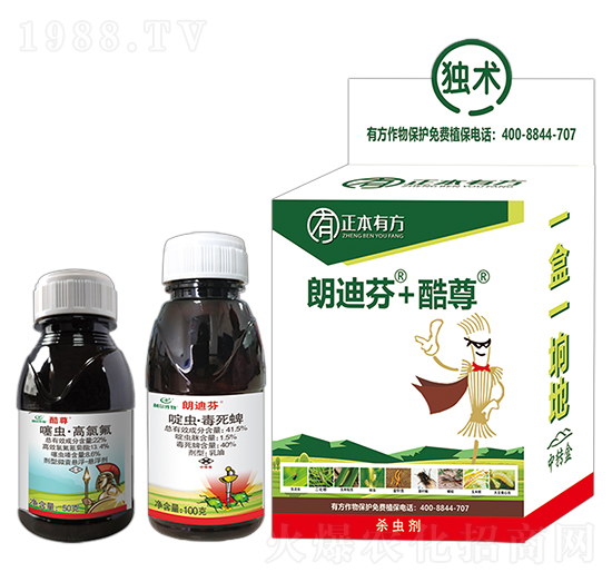 酷尊网