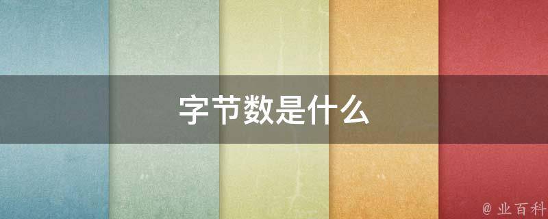 字节数