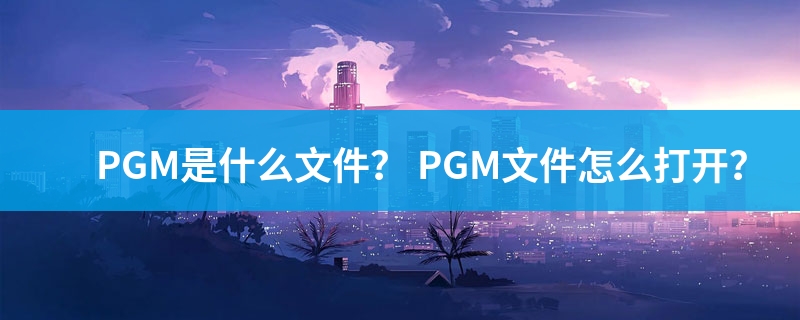 pgm是什么意思