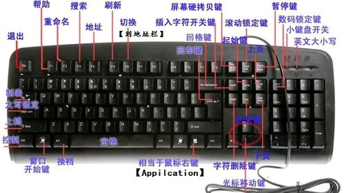 主键是什么