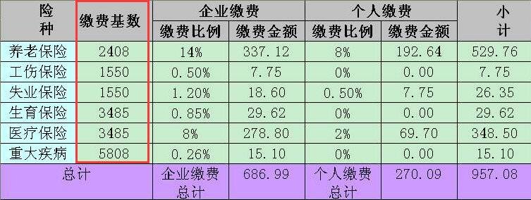 基数