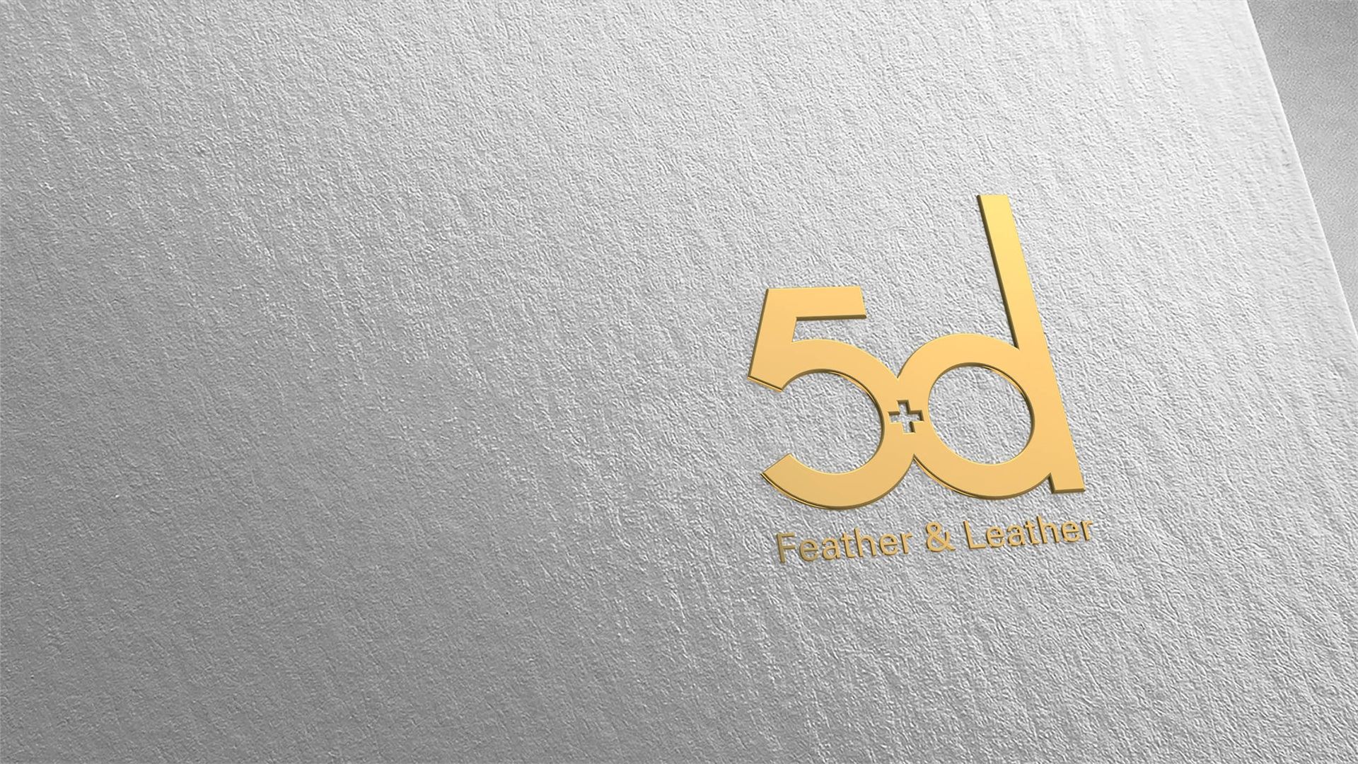 5d是什么