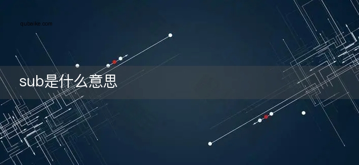 sub指令