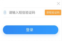 短信验证码接收