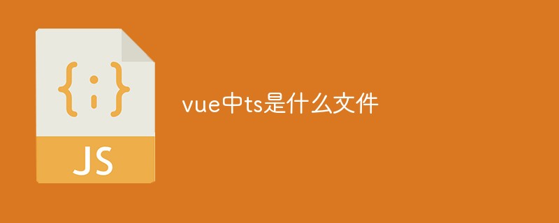 ts是什么文件