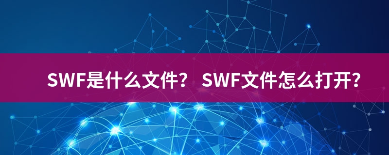 swf是什么格式