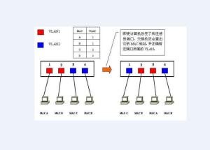 tcp端口号