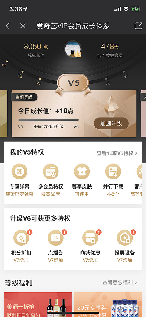 会员等级名称