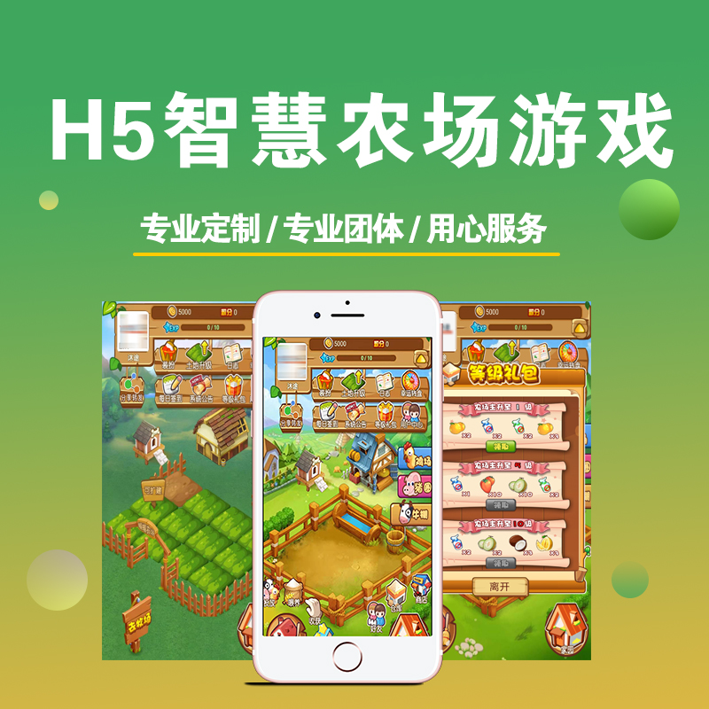 游戏软件开发