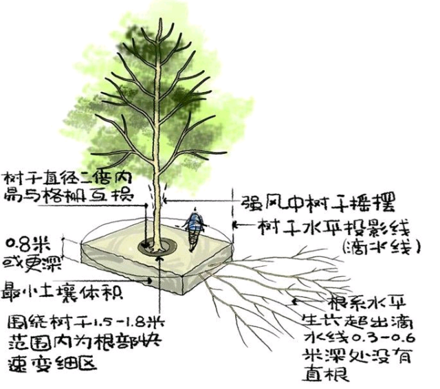 树的结构