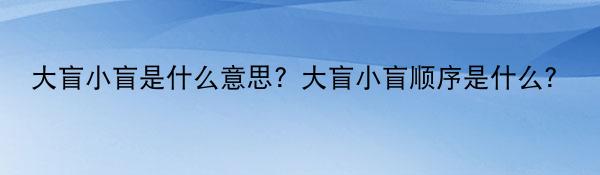 大盲小盲什么意思