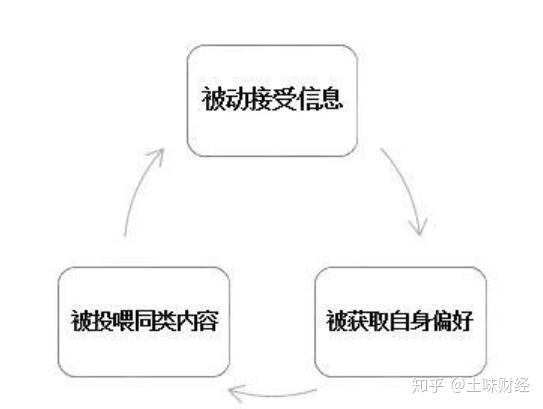 茧房效应