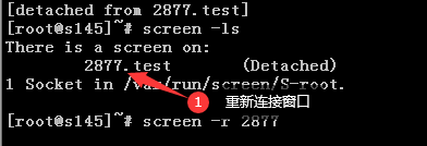 screen命令