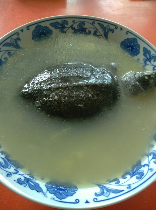 海龟汤是什么