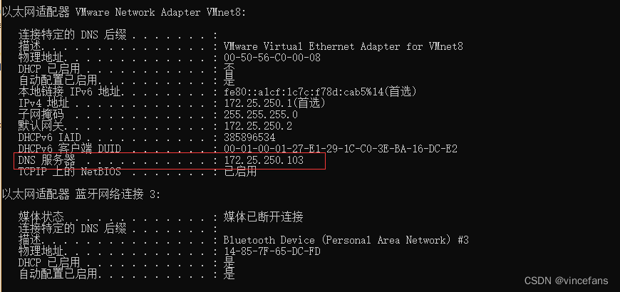 本机dns
