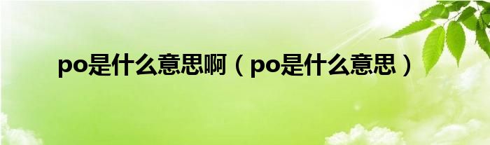 po是什么的缩写