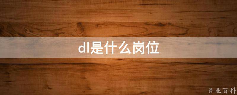 ddl什么意思
