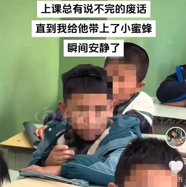 蜜蜂加速器破解版
