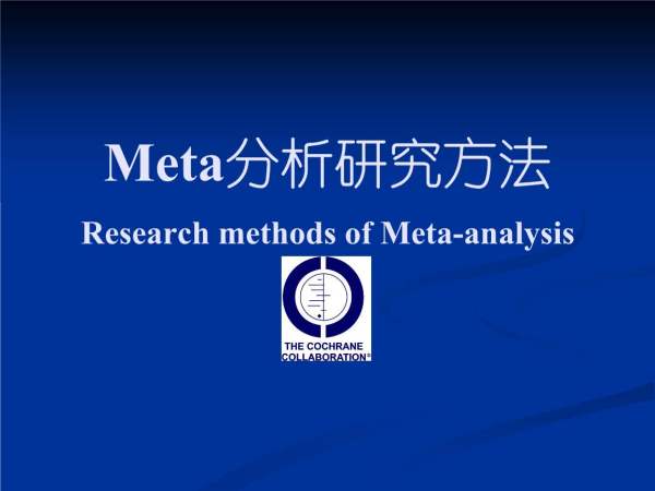 meta什么意思