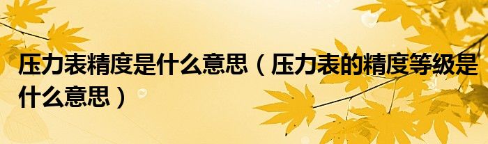 精度是什么意思