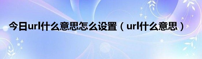 url什么意思